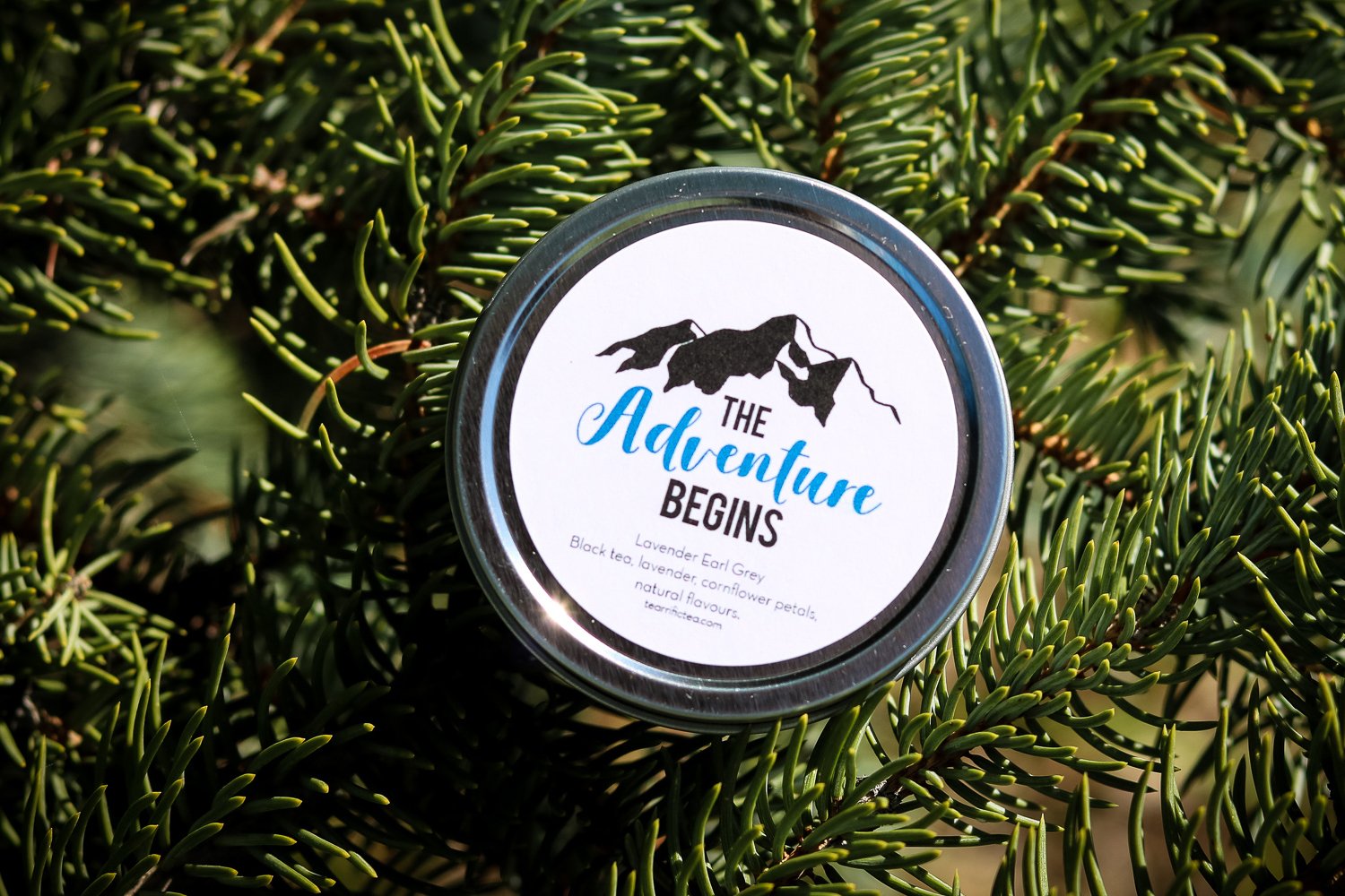 The Adventure Begins Favour